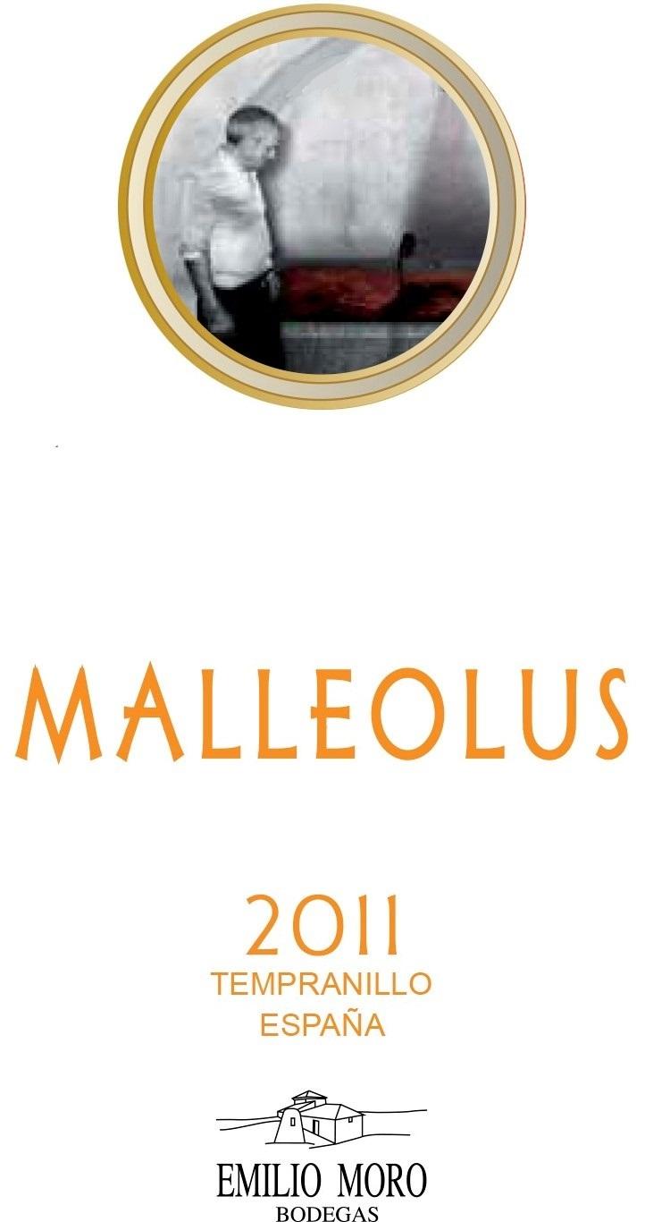 Malleolus
