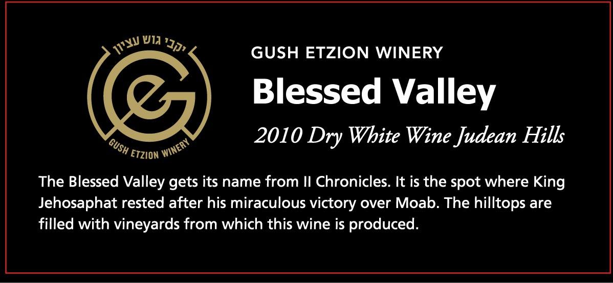 Blessed Valley - Emek Bracha