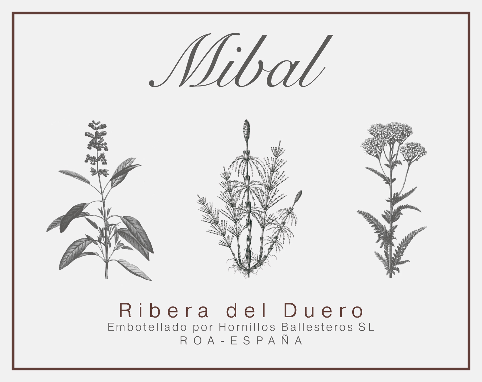 Ribera Del Duero