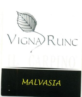 Vigna Runc