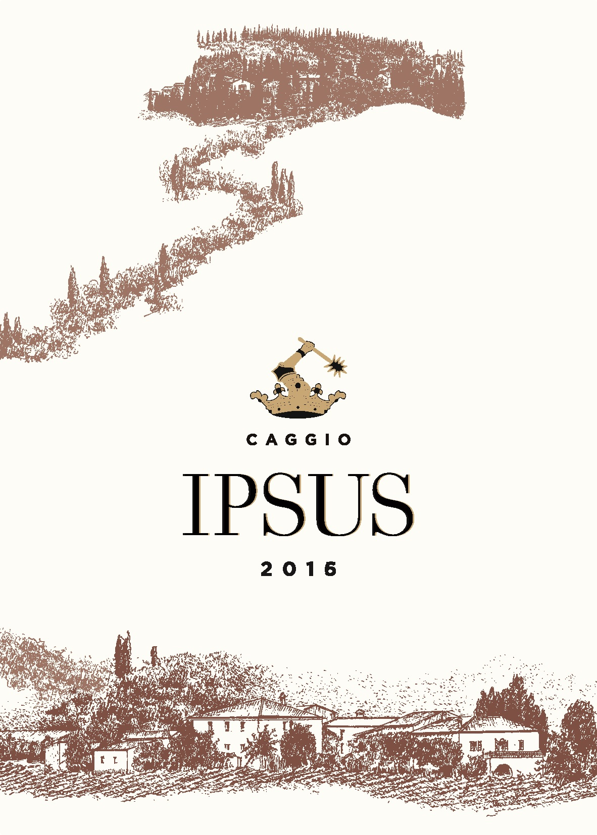 Ipsus