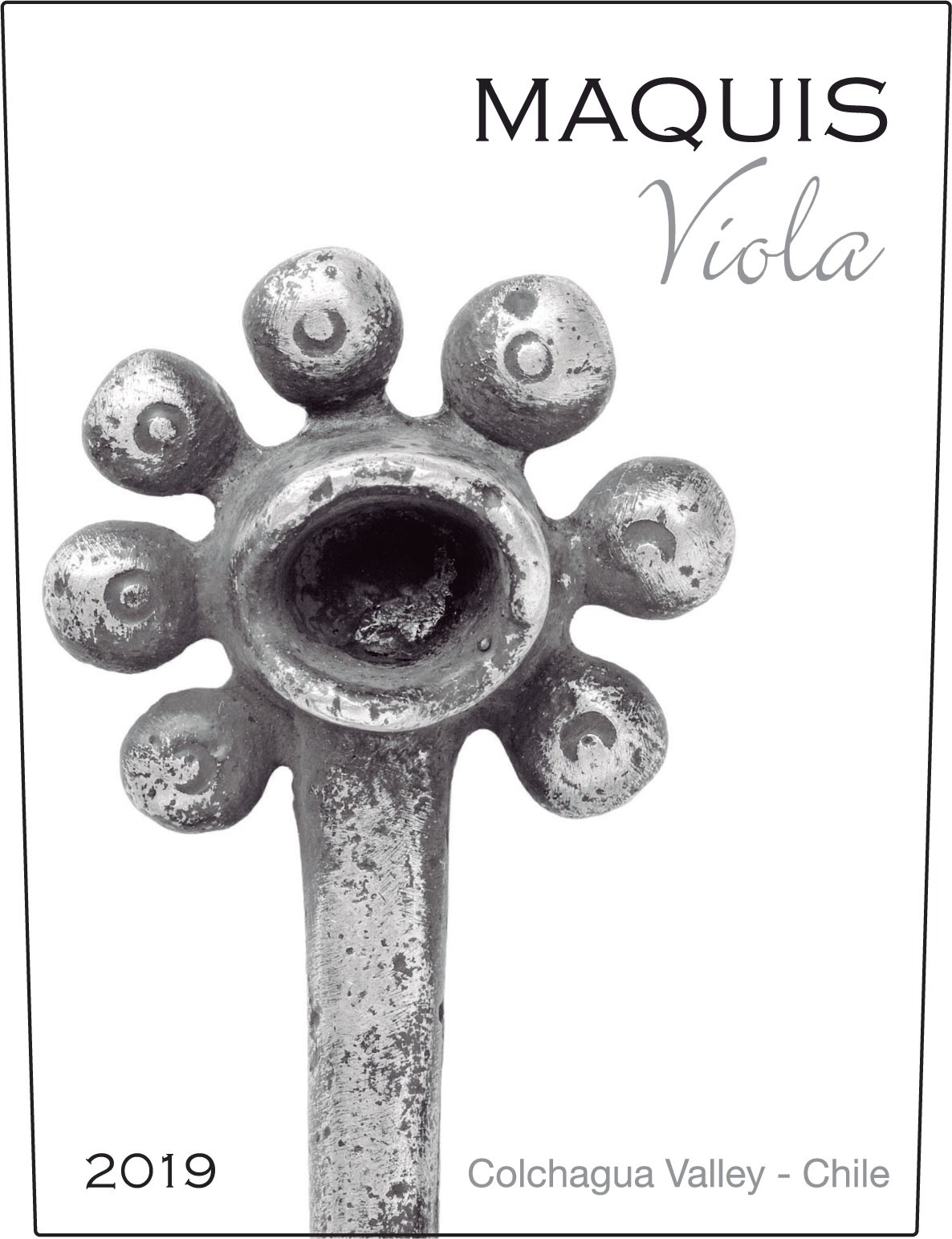 Viola