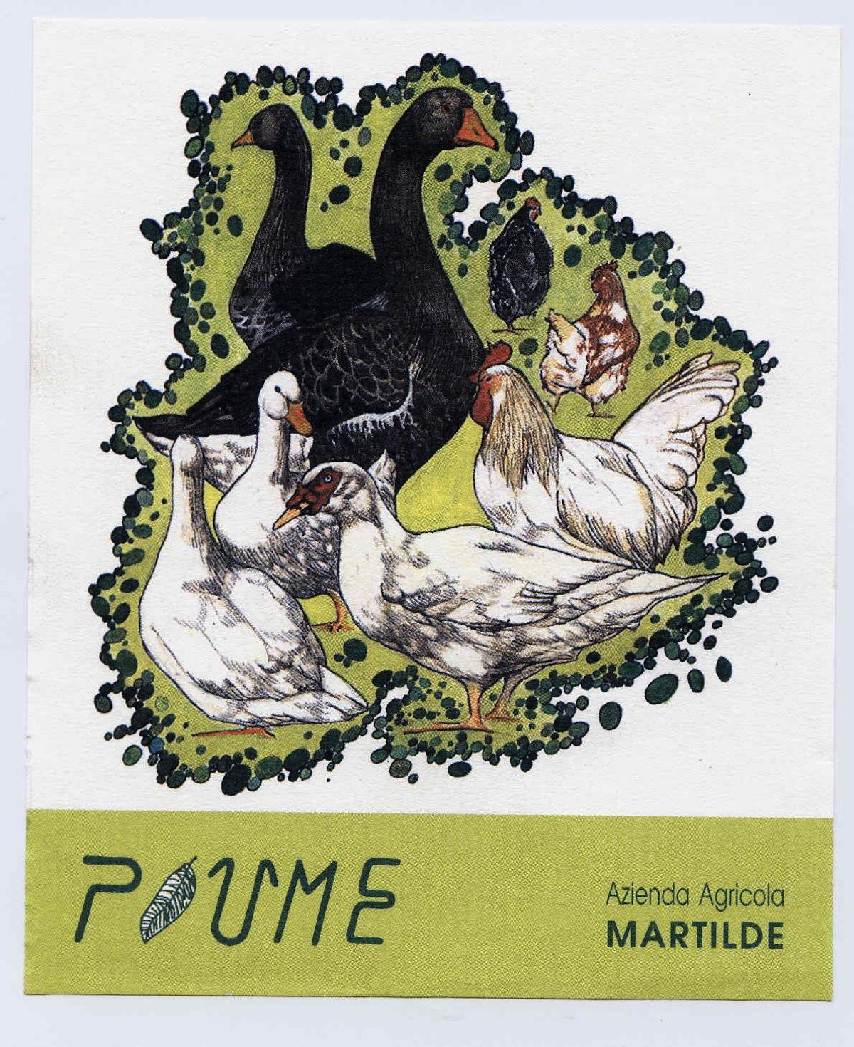 Piume
