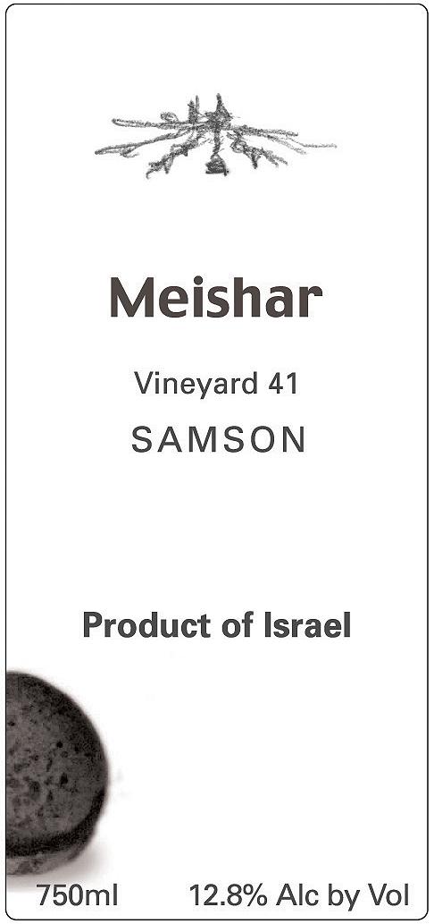 Vineyard 41