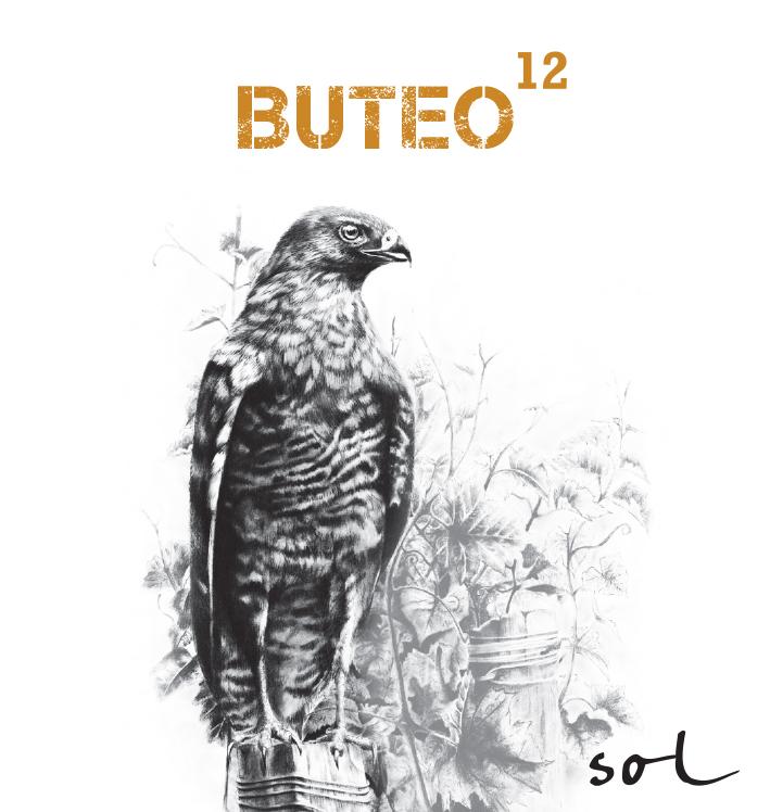 Buteo 12