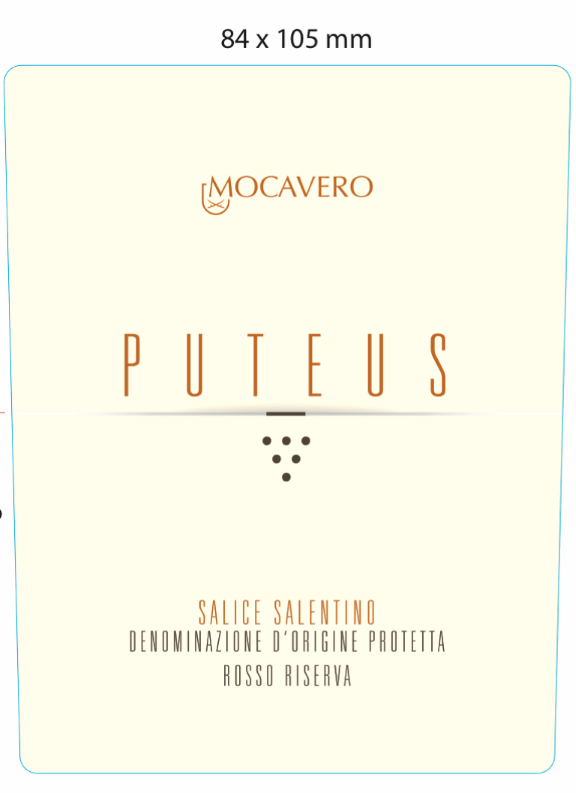 Puteus