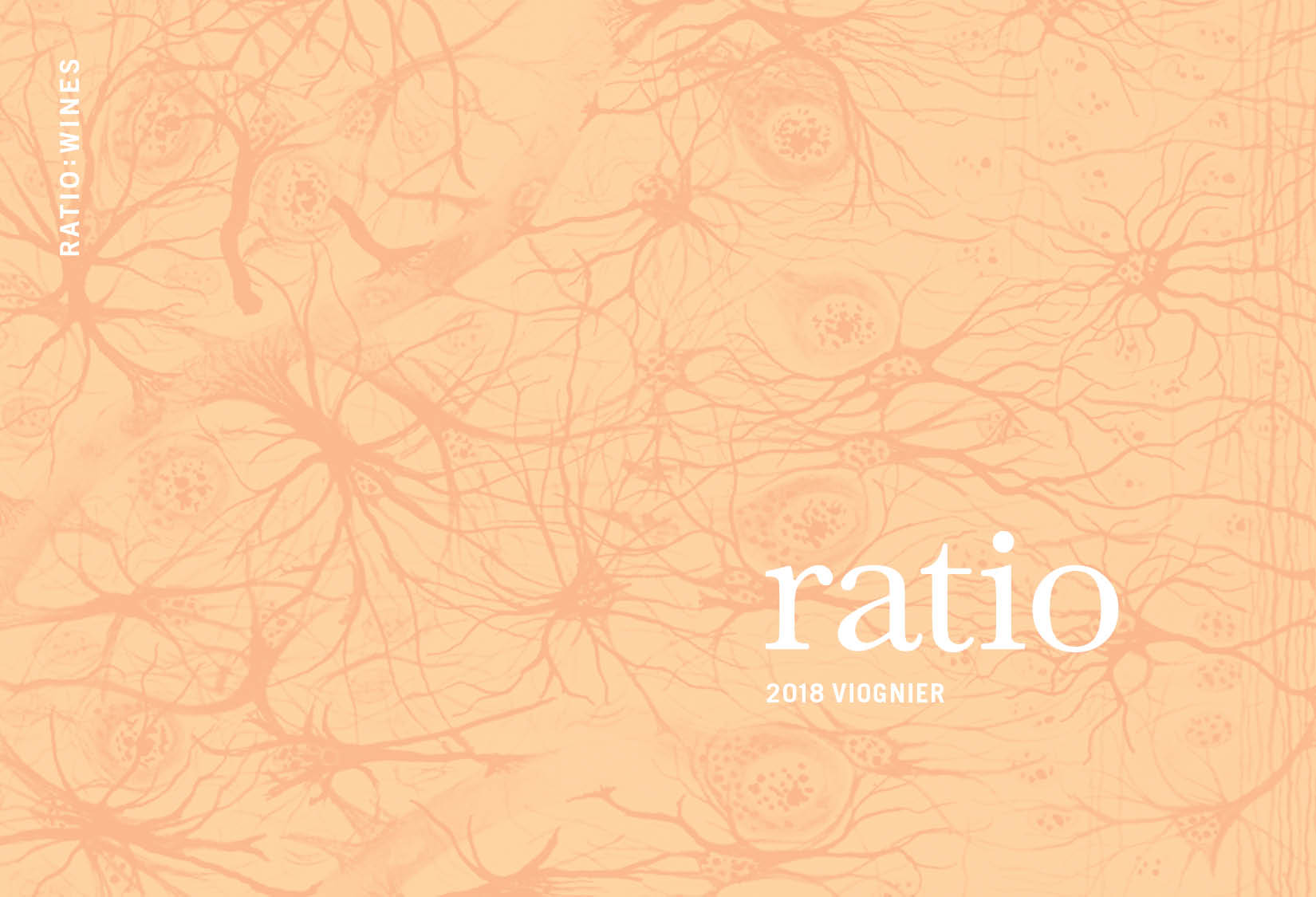 Steelhead Run Vineyard