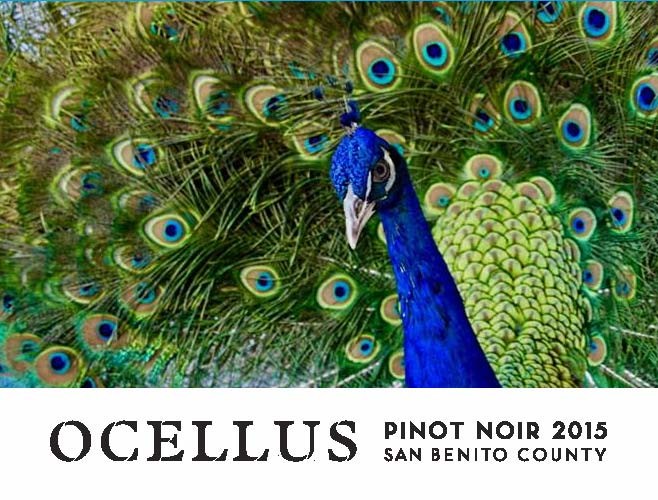 Ocellus Pinot Noir